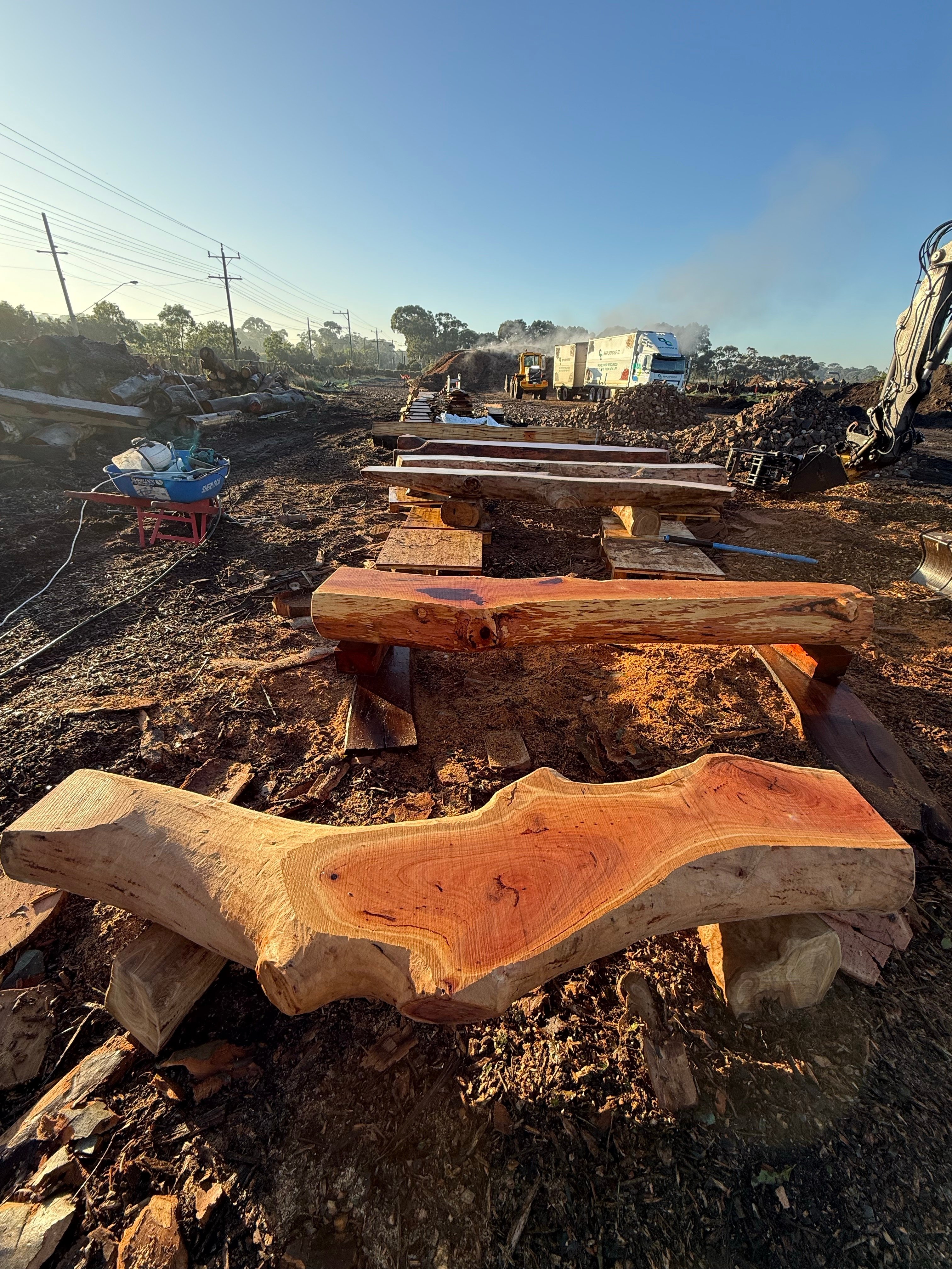 arborreuse logs at the yard