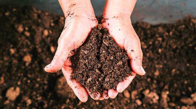 Hand picking up soil