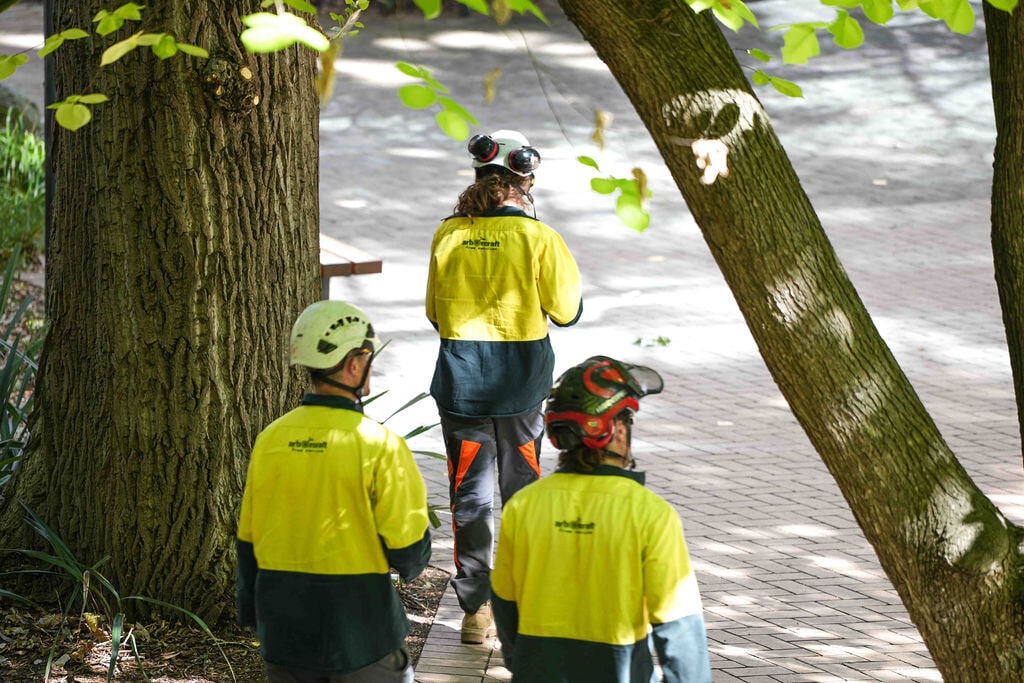 3 arborists walking