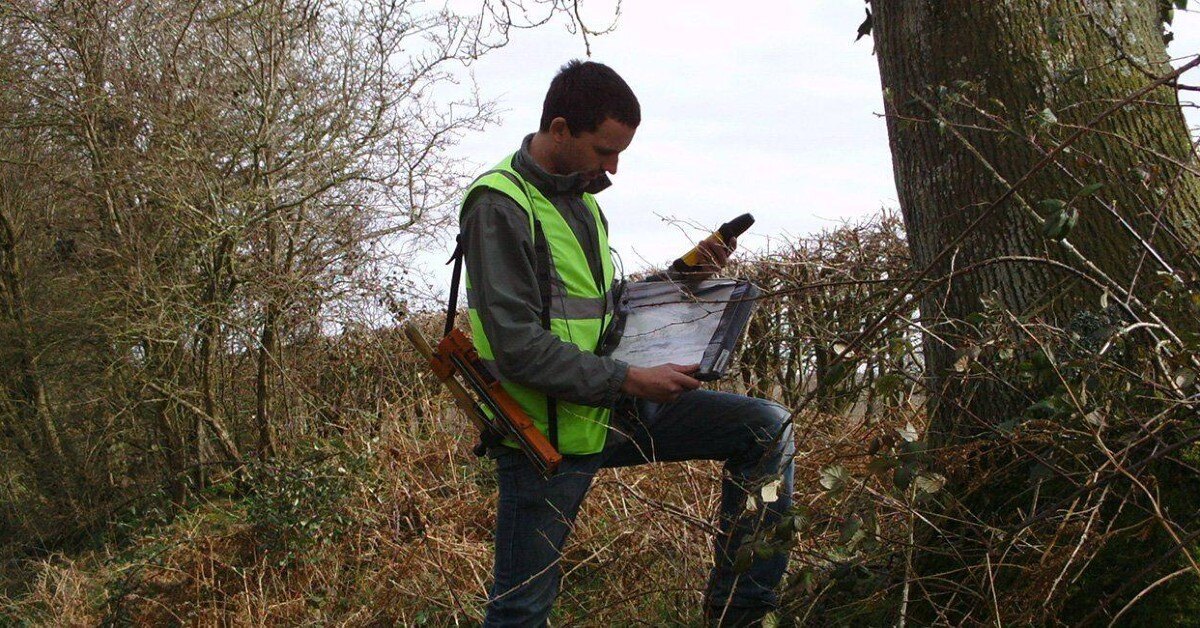 how a tree consultant works