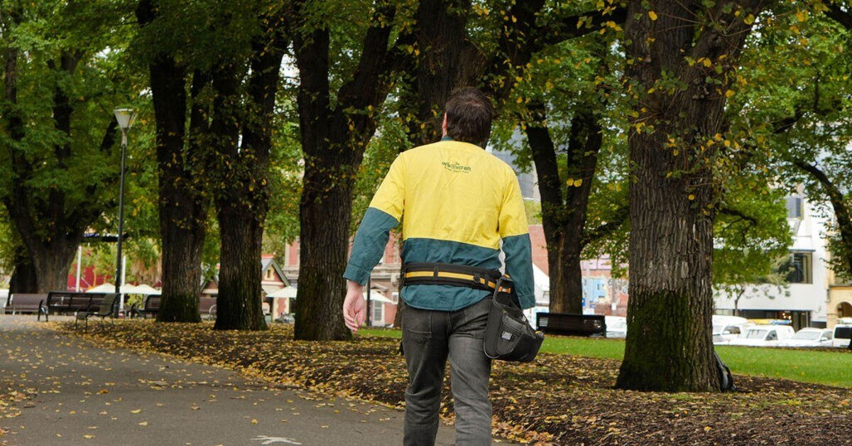 Navigating high-risk tree works for John Holland