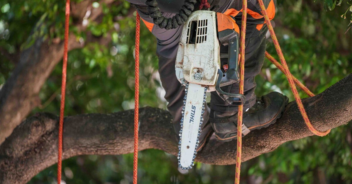 chainsaw hanging from arborist belt
