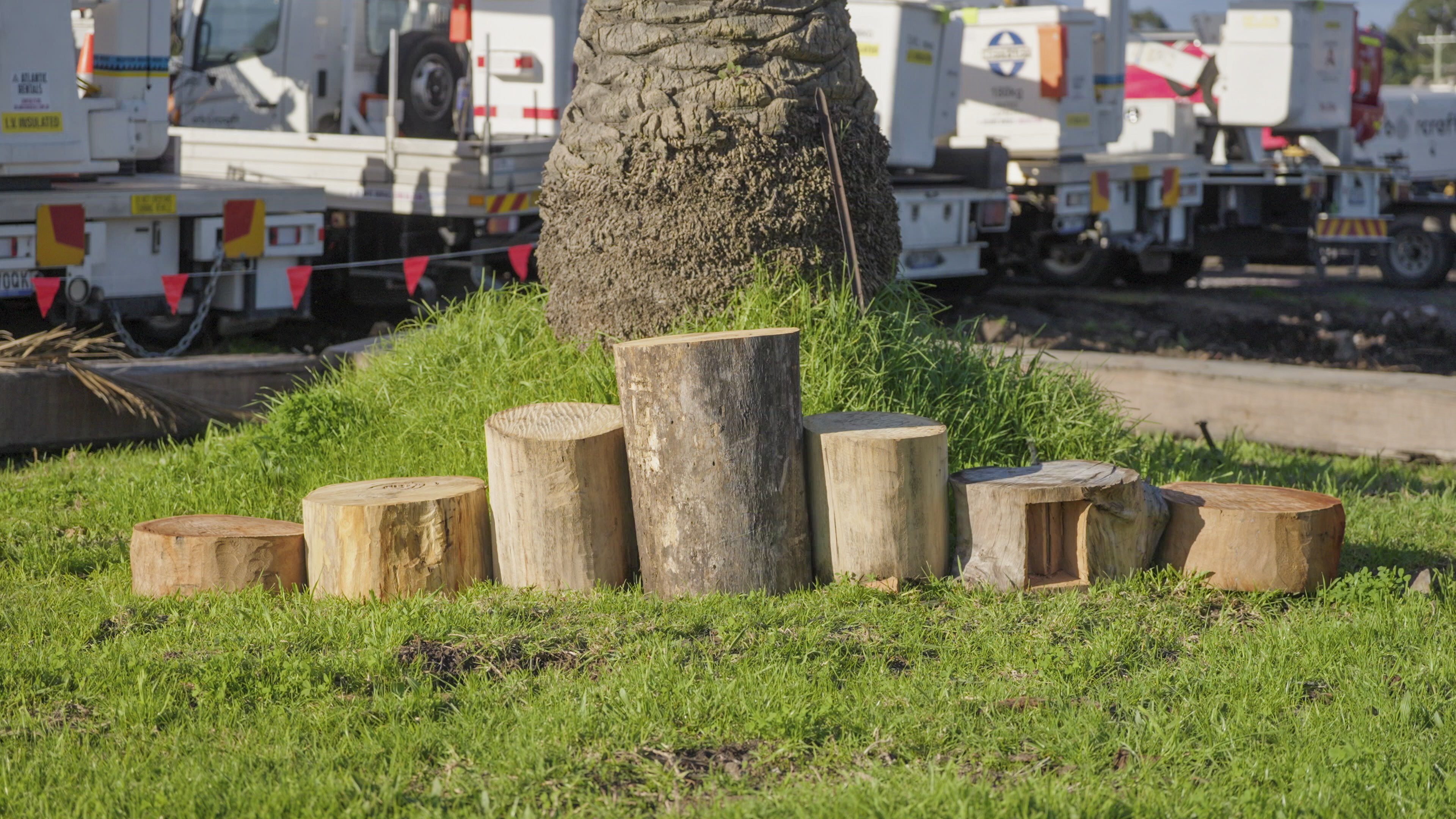 Timber stump seats of varying heights arranged on a grass lawn