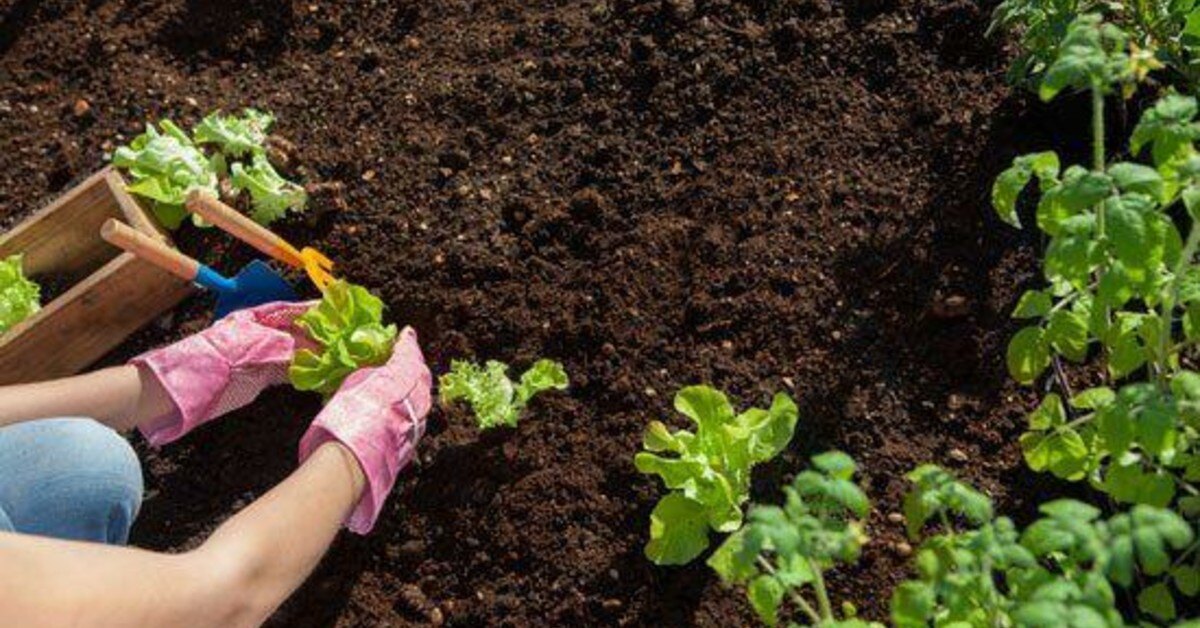 Soil management: an important conservation strategy